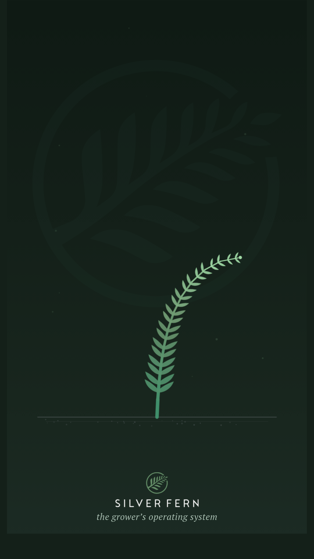 fern-season