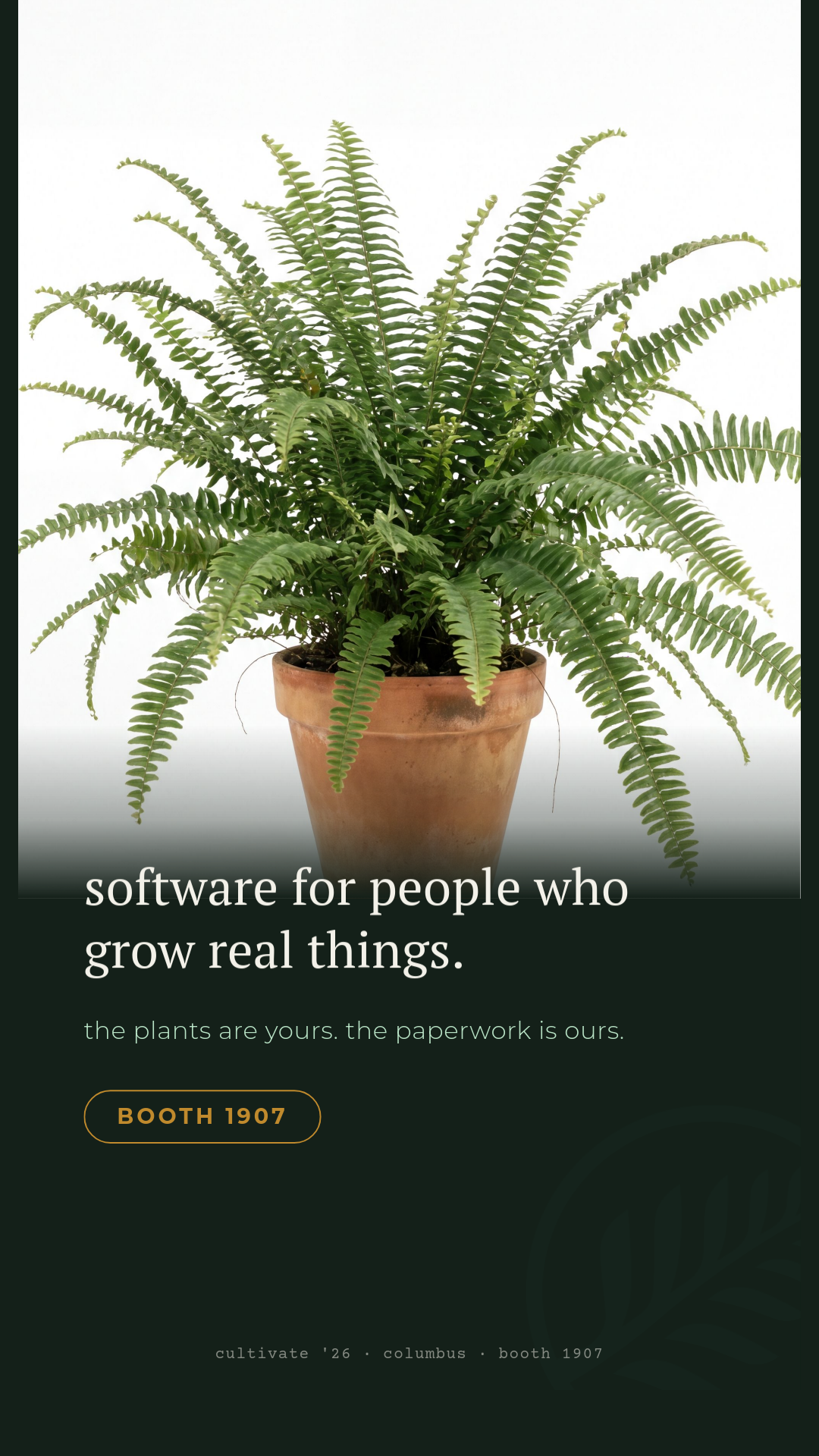 the-real-thing