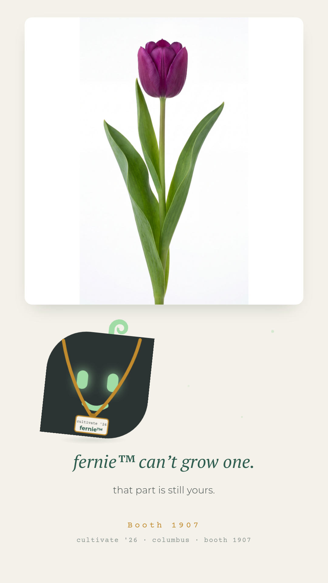fernie-and-the-tulip